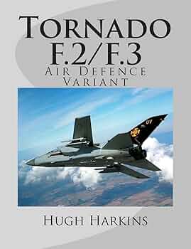 book　F-2 F-15 61S6gXNzx+L._AC_UF350,